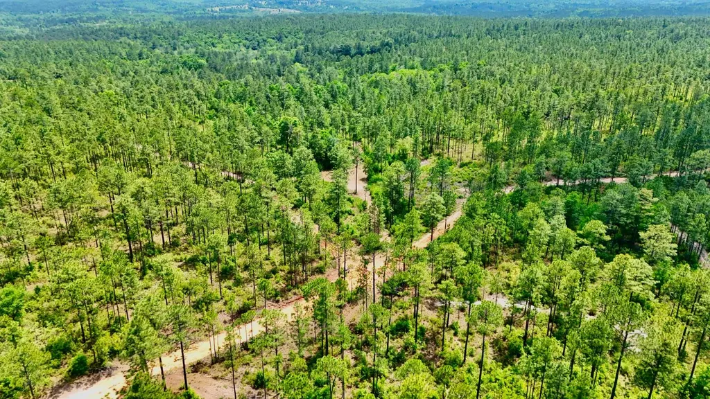 0 Hubert Morris Road Wilmer AL 36587