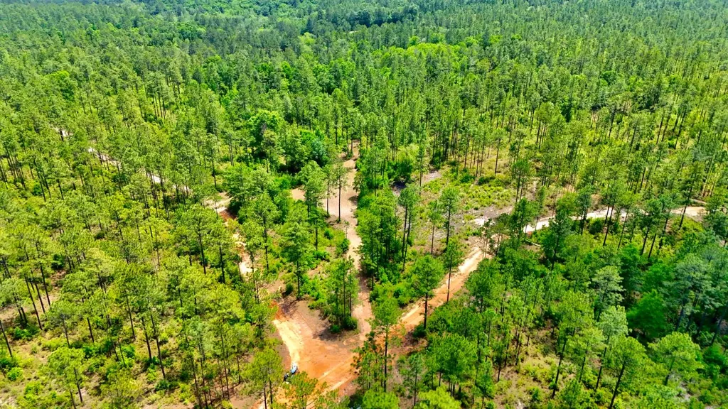 0 Hubert Morris Road Wilmer AL 36587