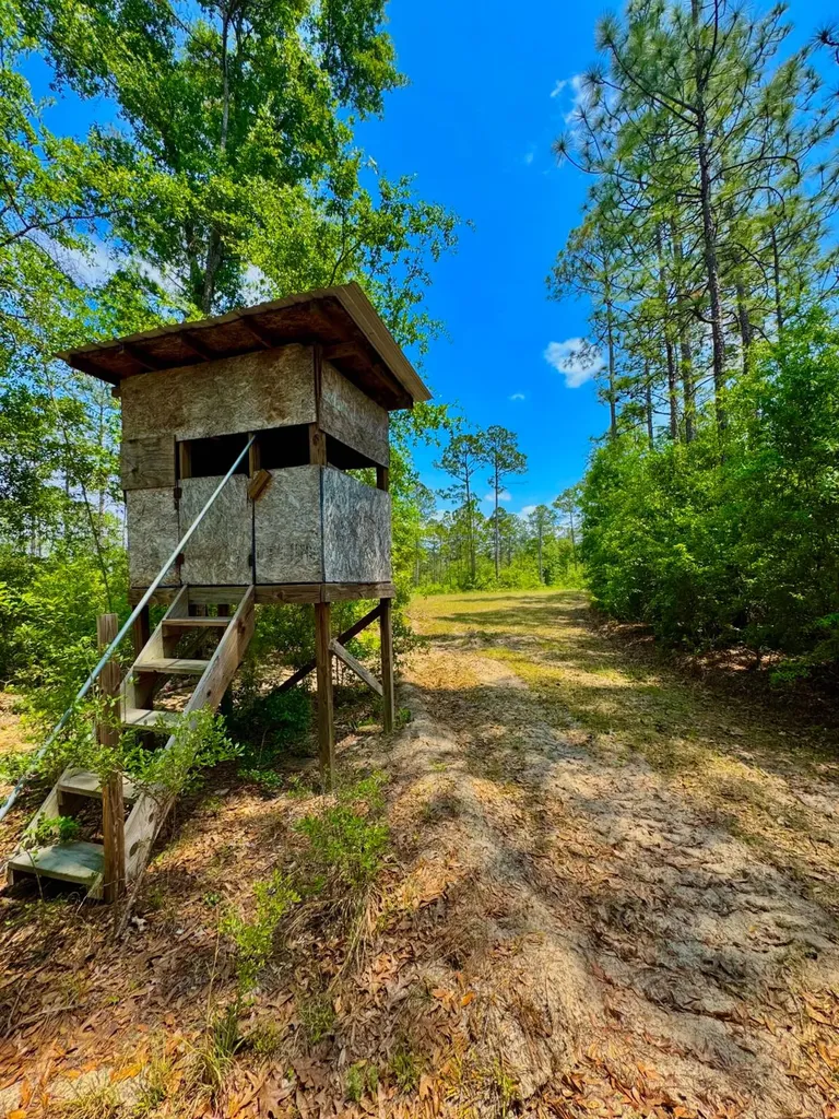 0 Hubert Morris Road Wilmer AL 36587