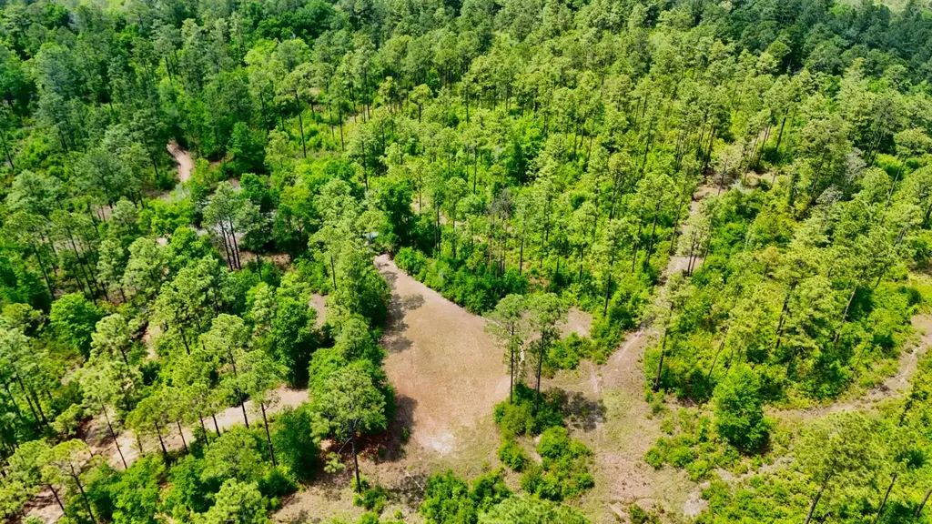0 Hubert Morris Road Wilmer AL 36587