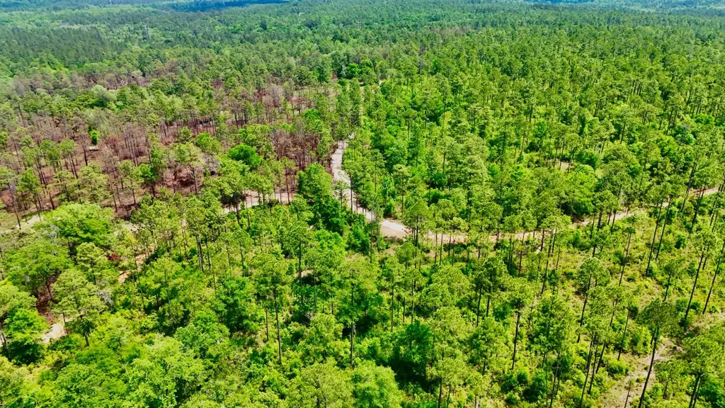 0 Hubert Morris Road Wilmer AL 36587