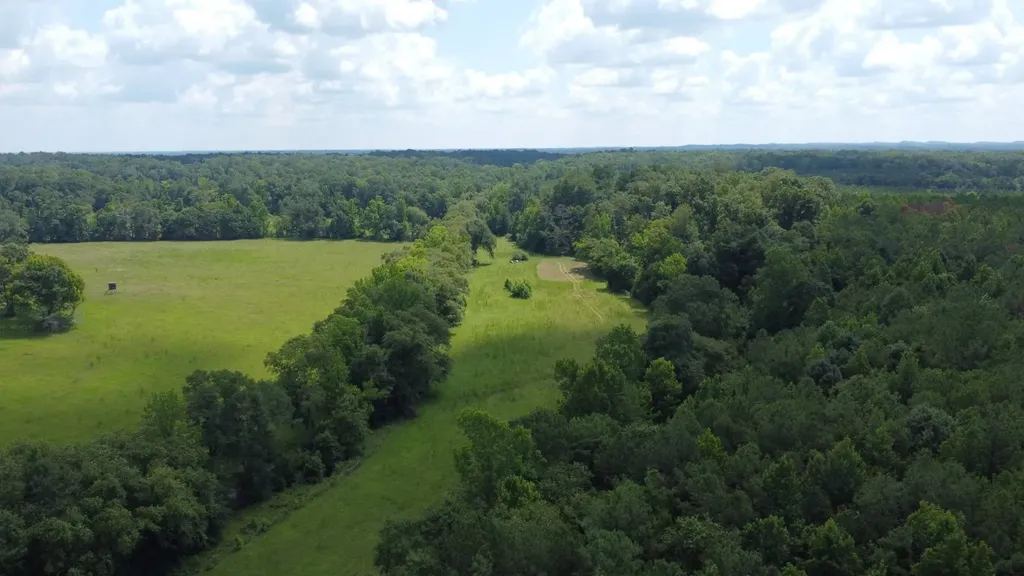 2351 Old Sellers Road Ada AL 36069
