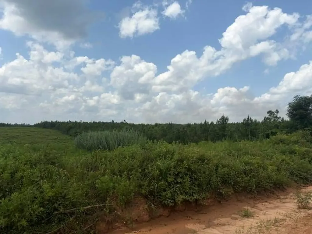 0 Pond Creek Road Luverne AL 36049