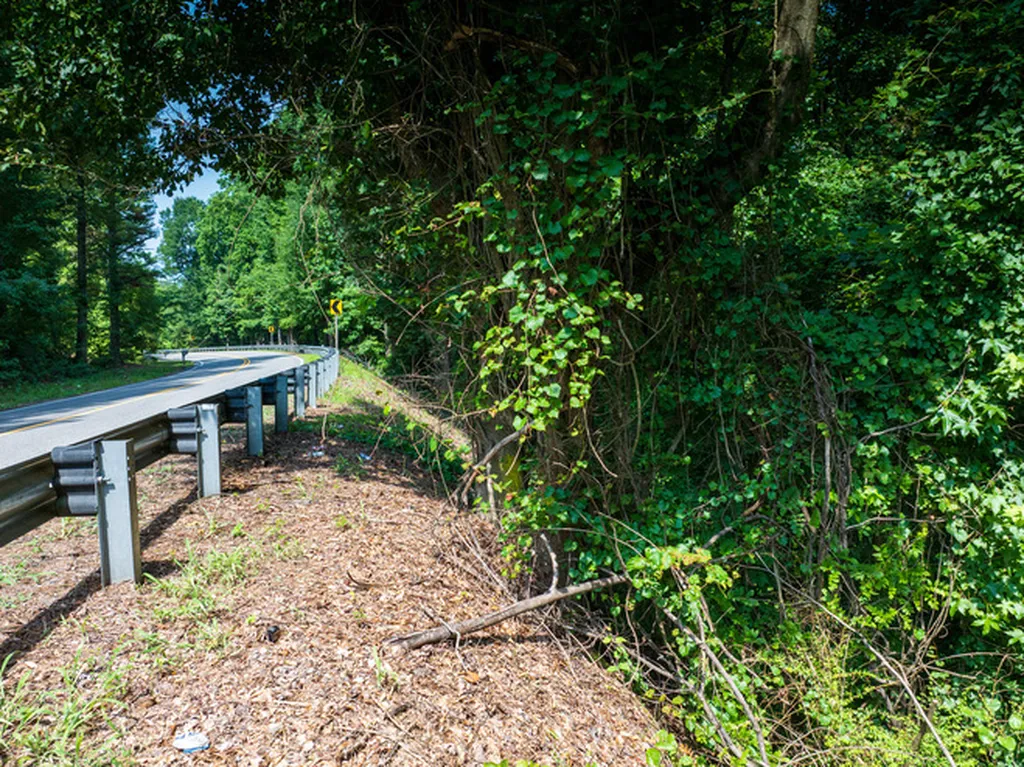0 Us Highway 78 Pell City AL 35125