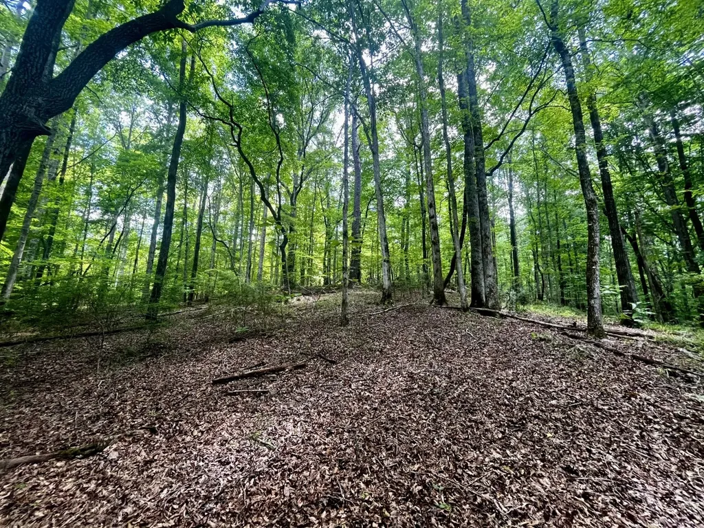 0 Coosa County Road 93 Rockford AL 35089