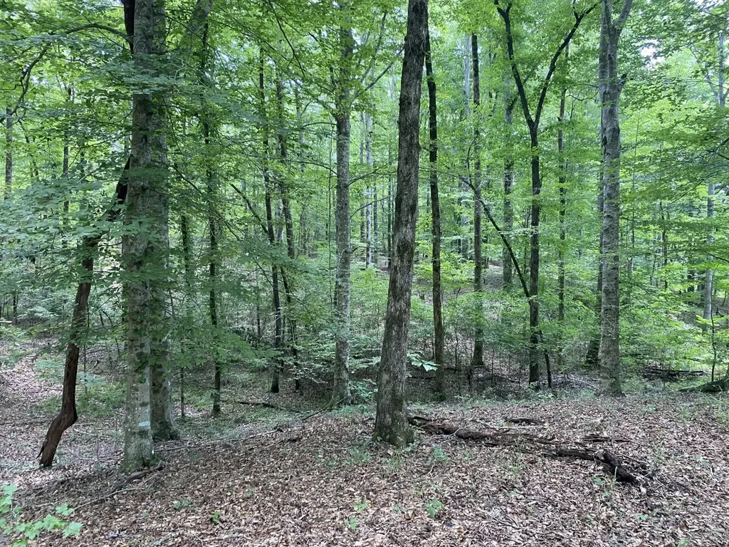 0 Coosa County Road 93 Rockford AL 35089