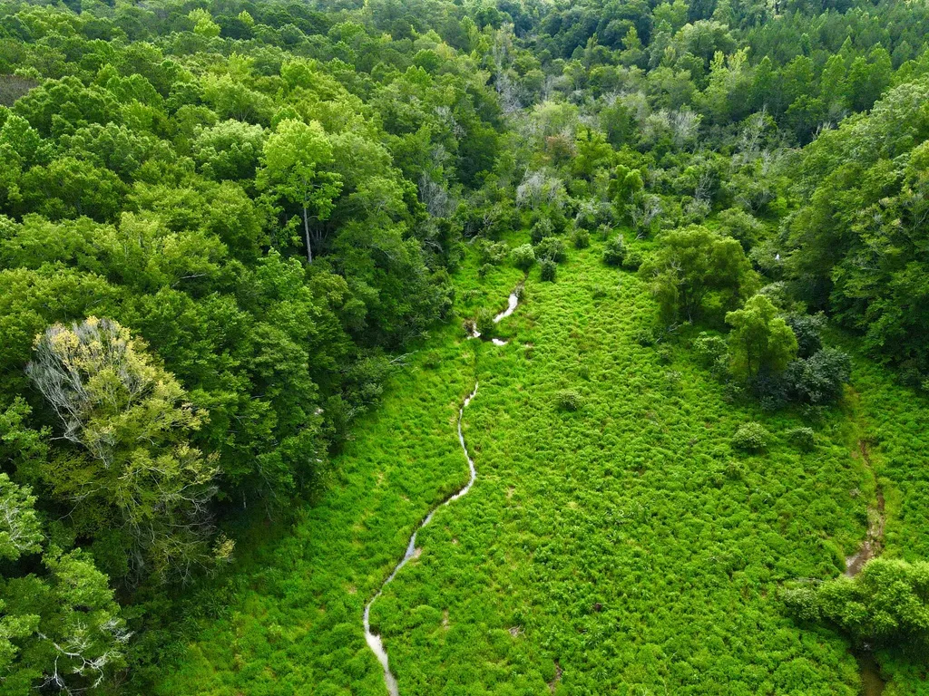 0 Coosa County Road 93 Rockford AL 35089