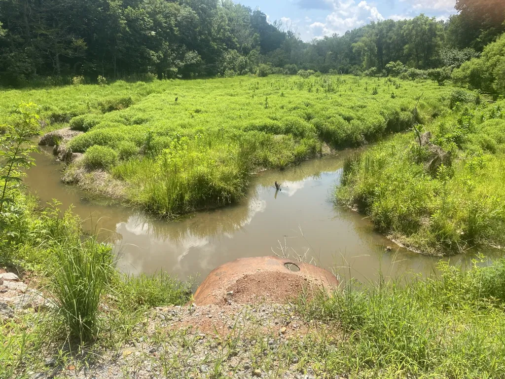 0 Coosa County Road 93 Rockford AL 35089