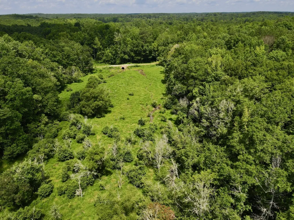 0 Coosa County Road 93 Rockford AL 35089