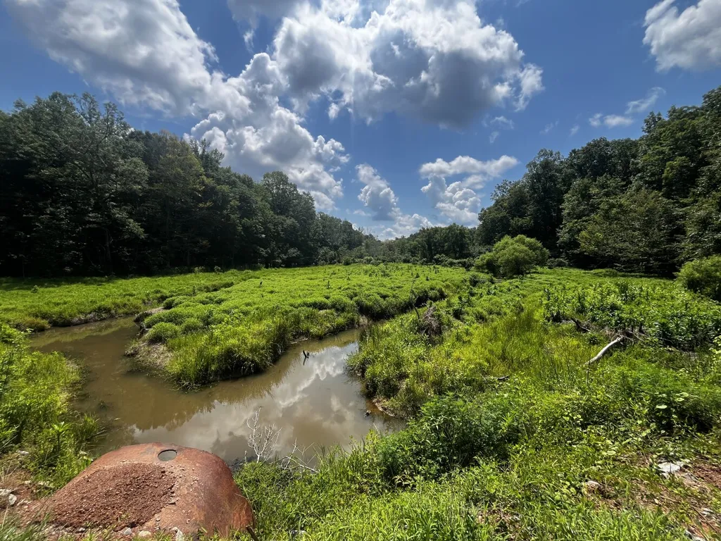 0 Coosa County Road 93 Rockford AL 35089