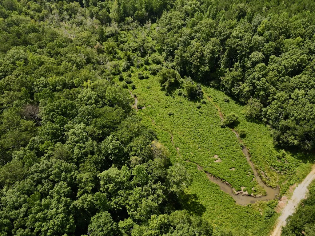 0 Coosa County Road 93 Rockford AL 35089