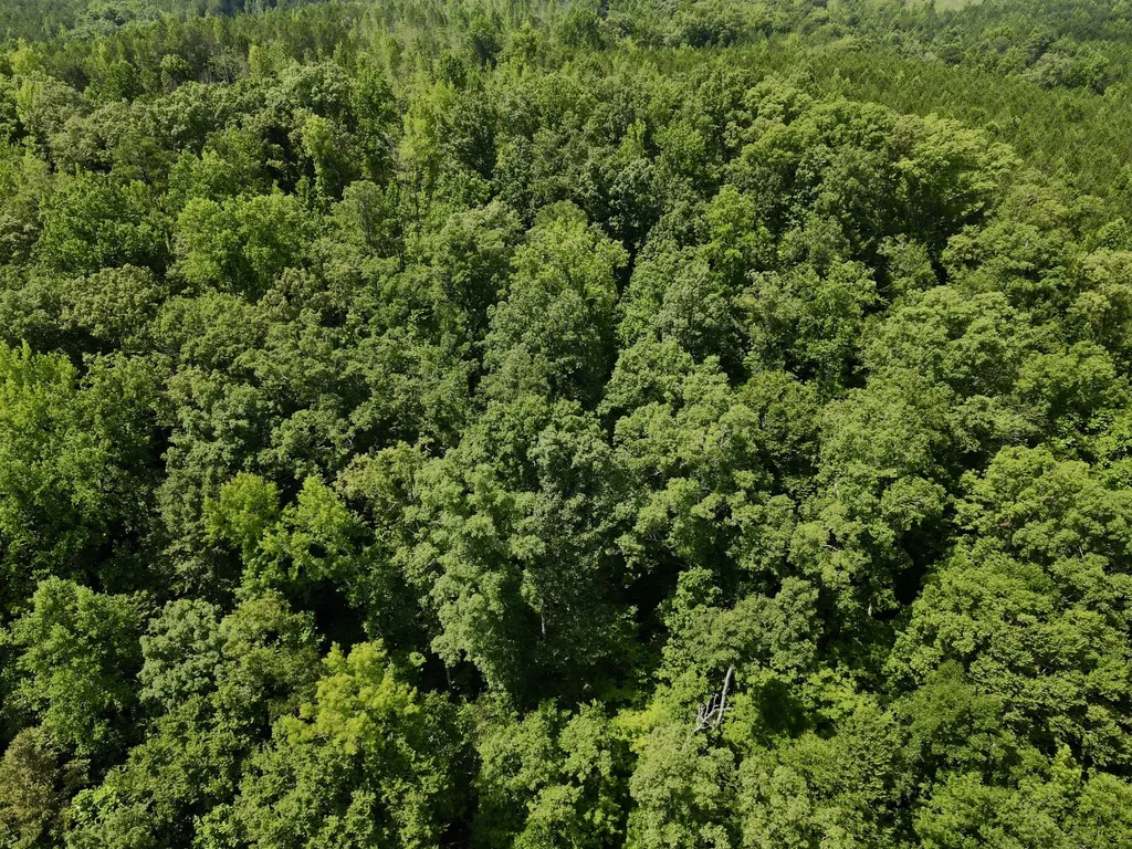 0 Coosa County Road 93 Rockford AL 35089