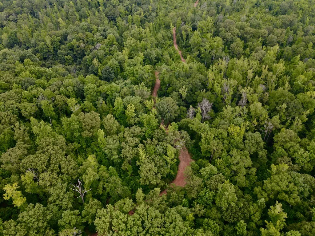 0 Coosa County Road 93 Rockford AL 35089