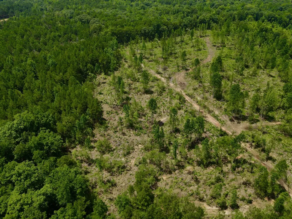 0 Coosa County Road 93 Rockford AL 35089