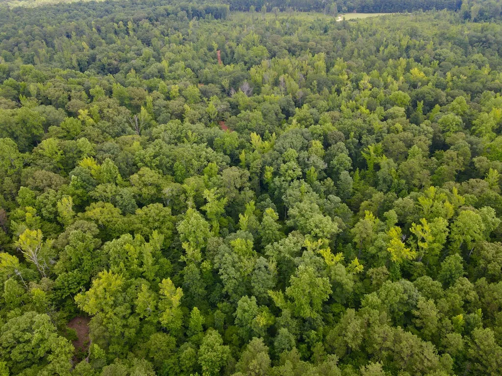 0 Coosa County Road 93 Rockford AL 35089