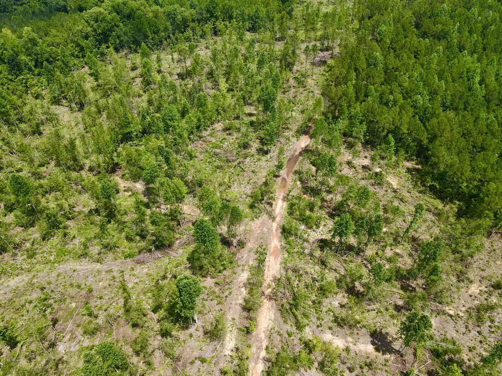 0 Coosa County Road 93 Rockford AL 35089