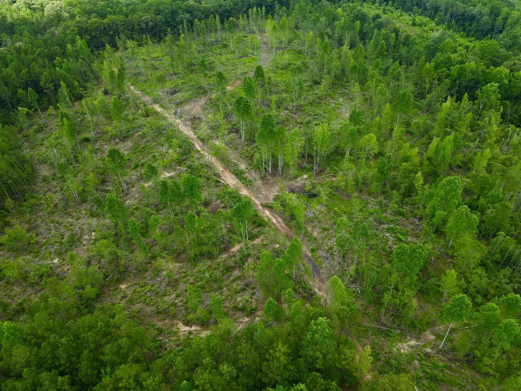 0 Coosa County Road 93 Rockford AL 35089