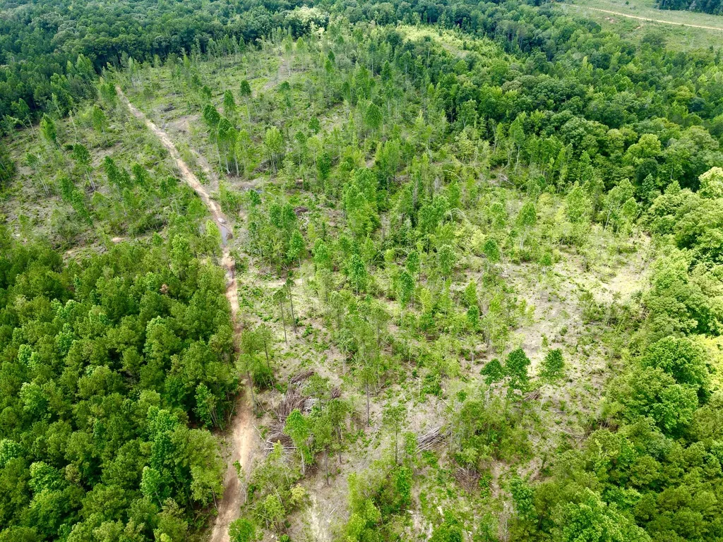 0 Coosa County Road 93 Rockford AL 35089