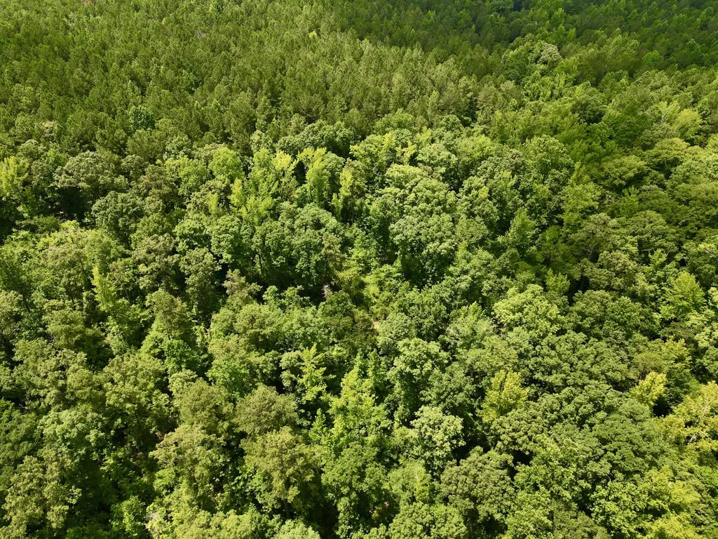 0 Coosa County Road 93 Rockford AL 35089