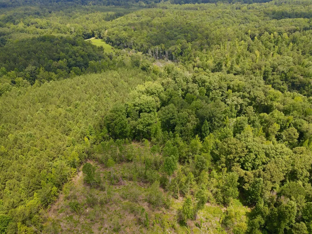 0 Coosa County Road 93 Rockford AL 35089