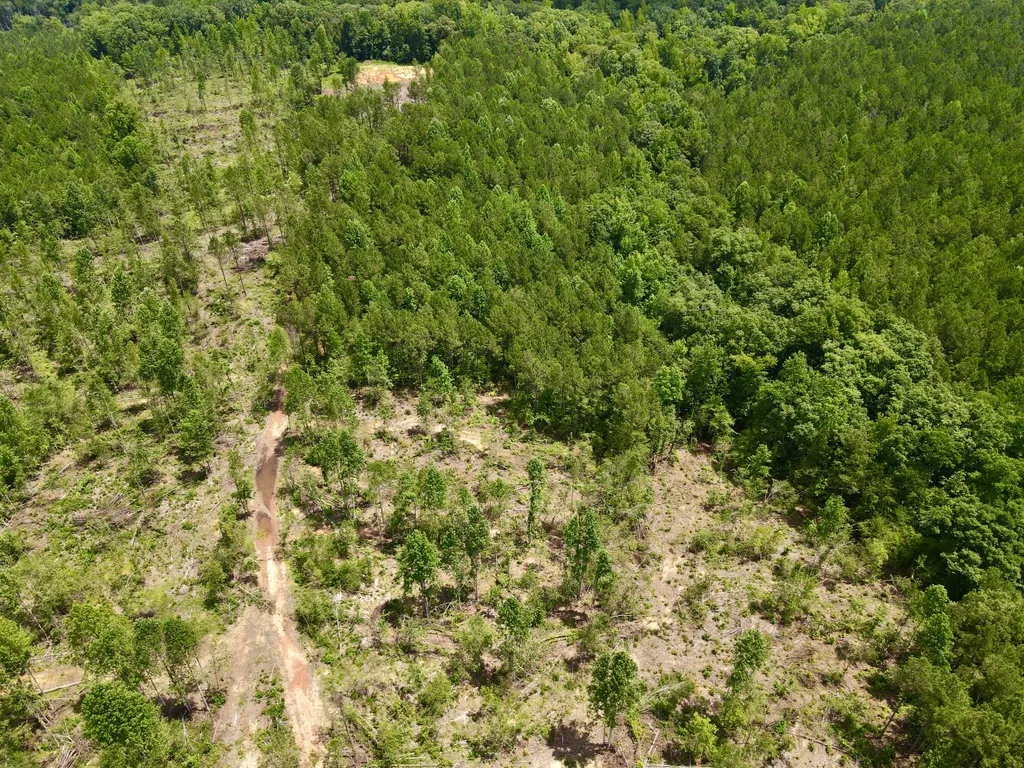 0 Coosa County Road 93 Rockford AL 35089