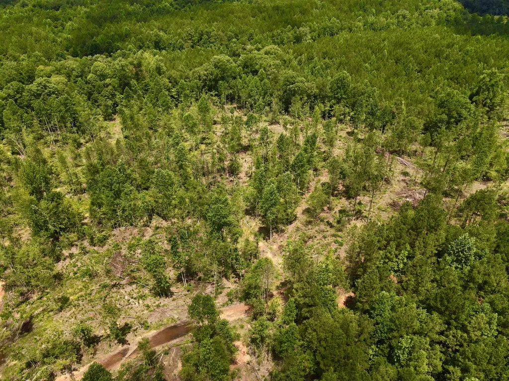 0 Coosa County Road 93 Rockford AL 35089