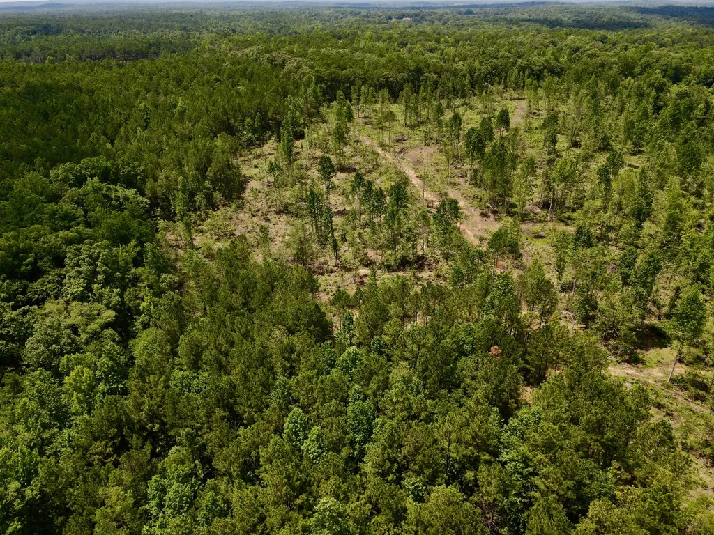 0 Coosa County Road 93 Rockford AL 35089