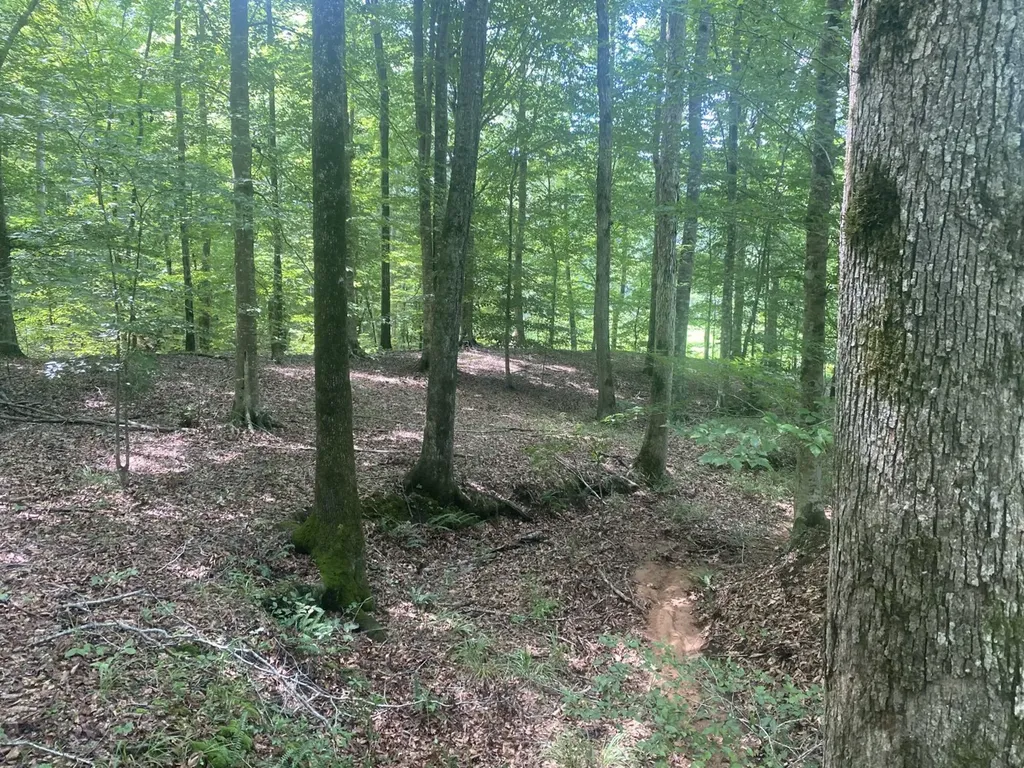 0 Coosa County Road 93 Rockford AL 35089