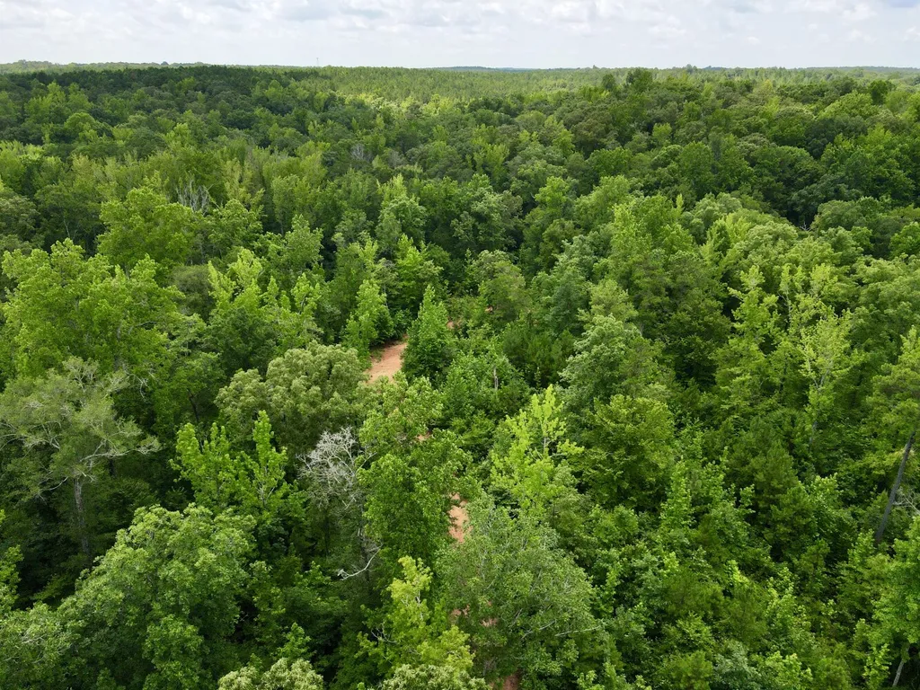 0 Coosa County Road 93 Rockford AL 35089