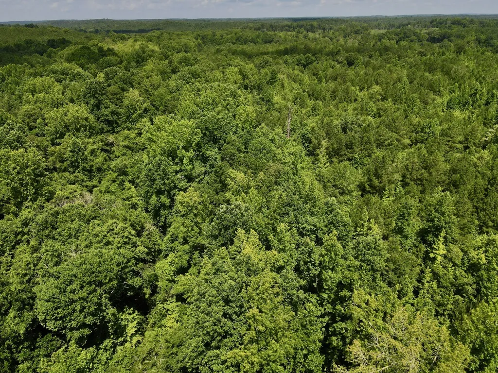 0 Coosa County Road 93 Rockford AL 35089
