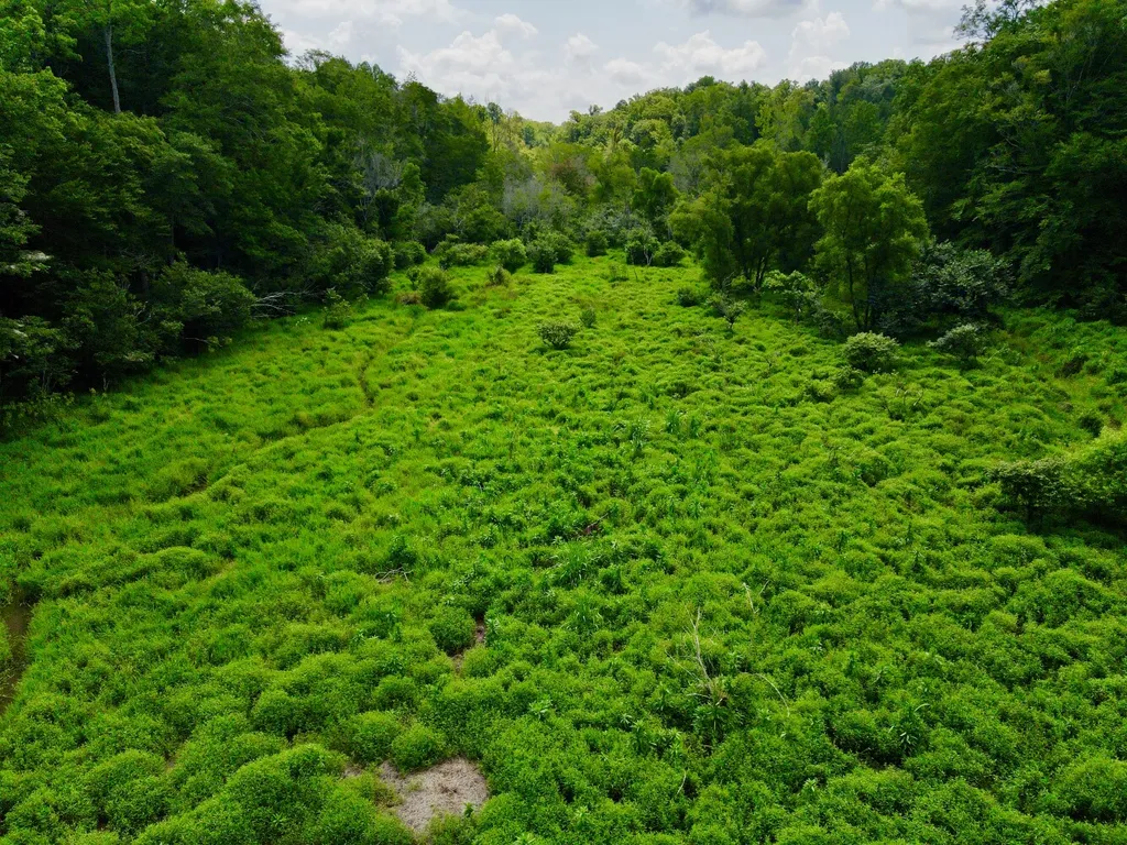 0 Coosa County Road 93 Rockford AL 35089