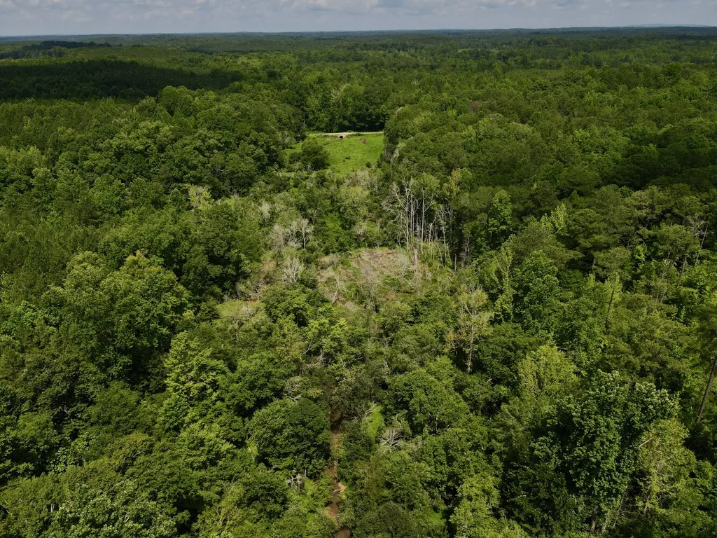 0 Coosa County Road 93 Rockford AL 35089
