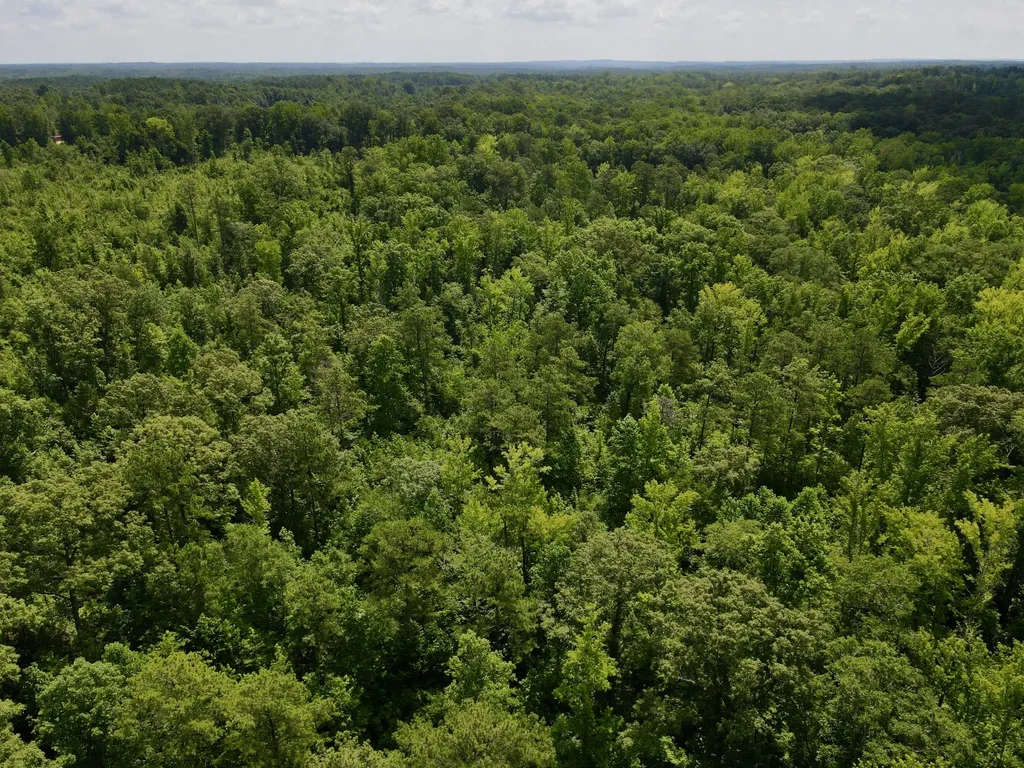 0 Coosa County Road 93 Rockford AL 35089