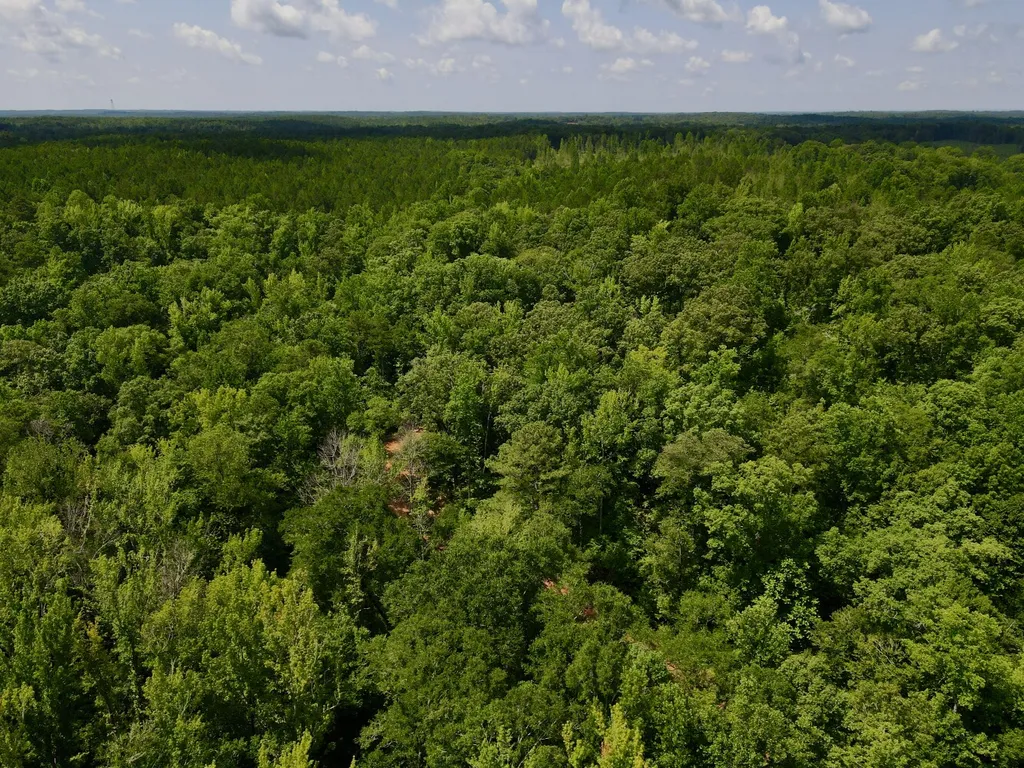 0 Coosa County Road 93 Rockford AL 35089