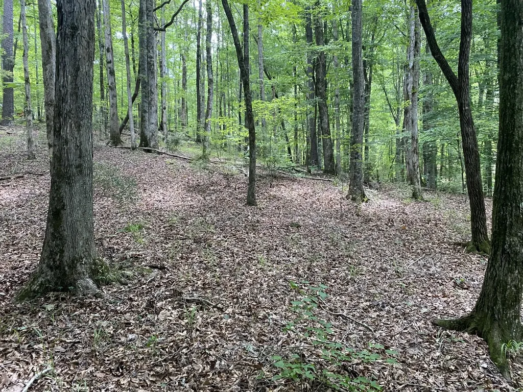 0 Coosa County Road 93 Rockford AL 35089