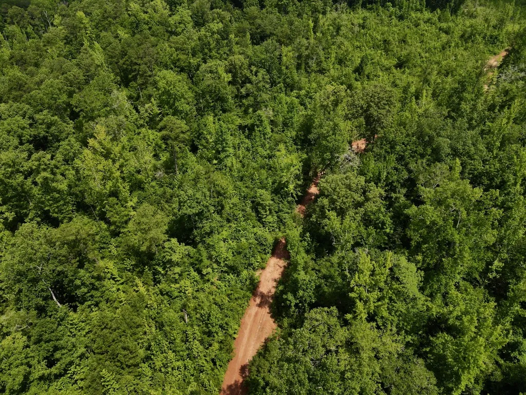 0 Coosa County Road 93 Rockford AL 35089