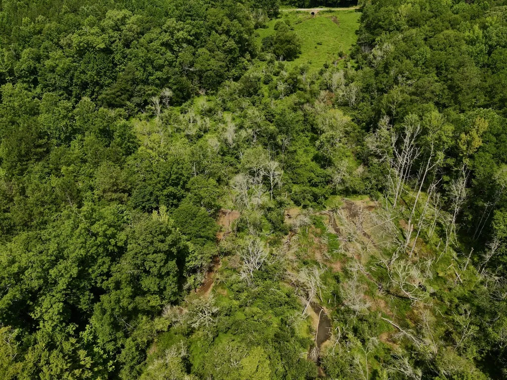 0 Coosa County Road 93 Rockford AL 35089