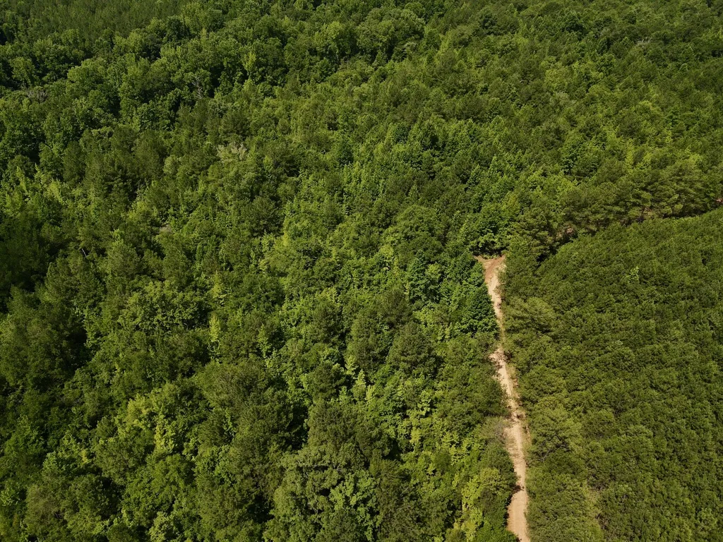 0 Coosa County Road 93 Rockford AL 35089