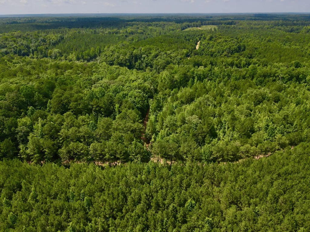 0 Coosa County Road 93 Rockford AL 35089