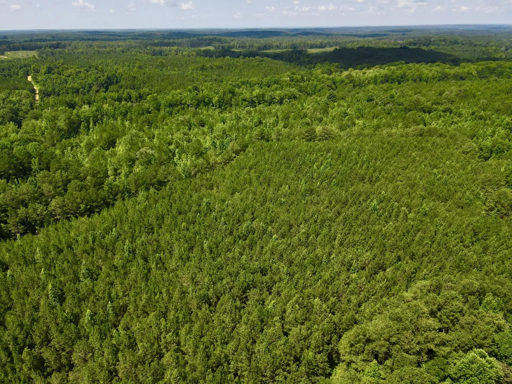 0 Coosa County Road 93 Rockford AL 35089