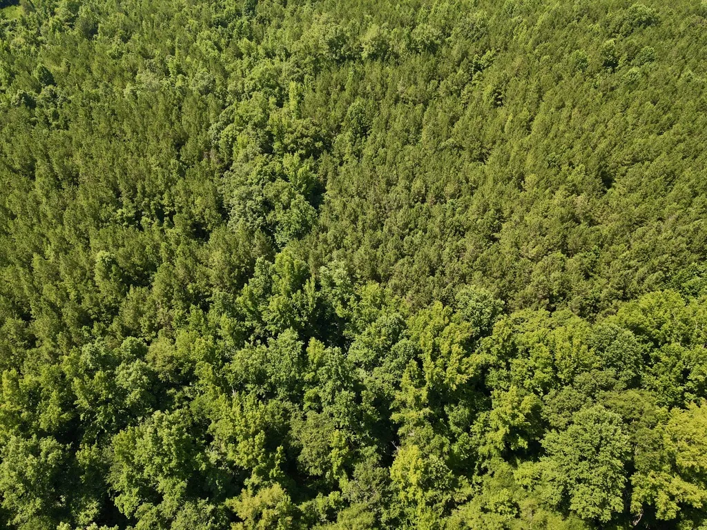 0 Coosa County Road 93 Rockford AL 35089