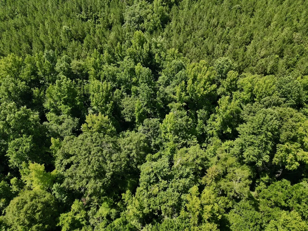 0 Coosa County Road 93 Rockford AL 35089