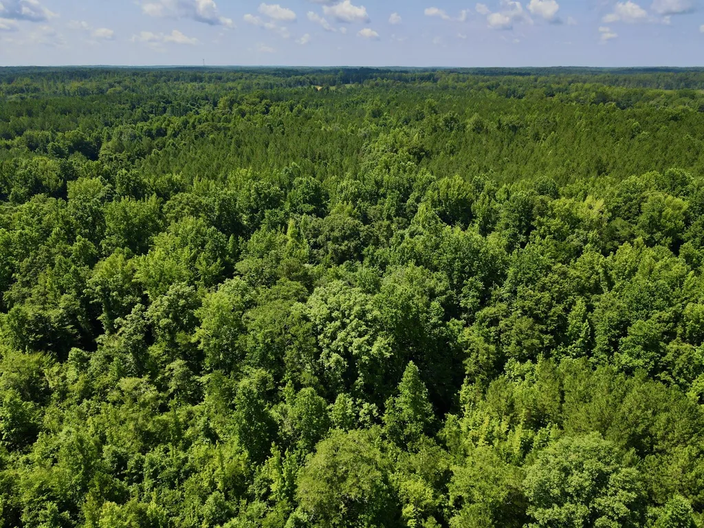 0 Coosa County Road 93 Rockford AL 35089