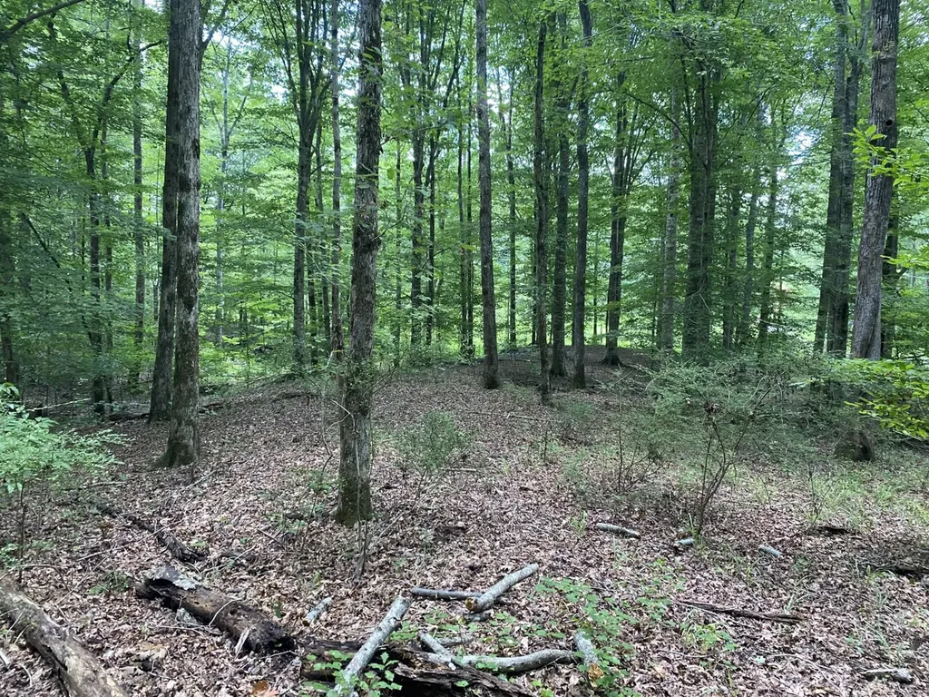 0 Coosa County Road 93 Rockford AL 35089