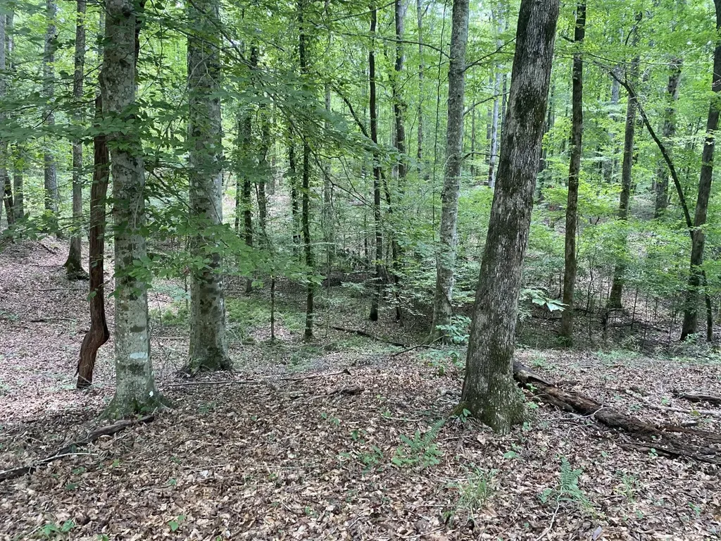0 Coosa County Road 93 Rockford AL 35089