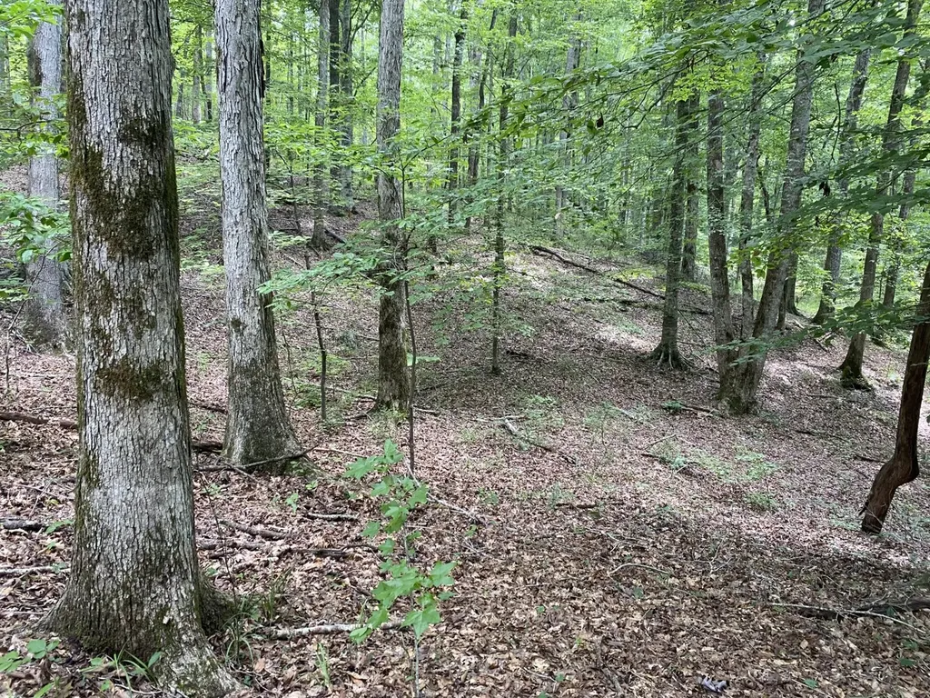 0 Coosa County Road 93 Rockford AL 35089