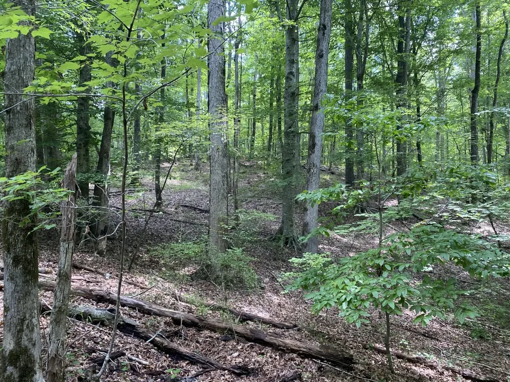 0 Coosa County Road 93 Rockford AL 35089