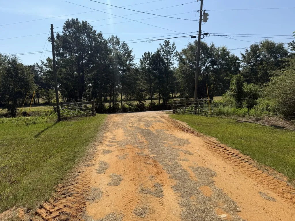 1422 Adkinson Road Newton AL 36352