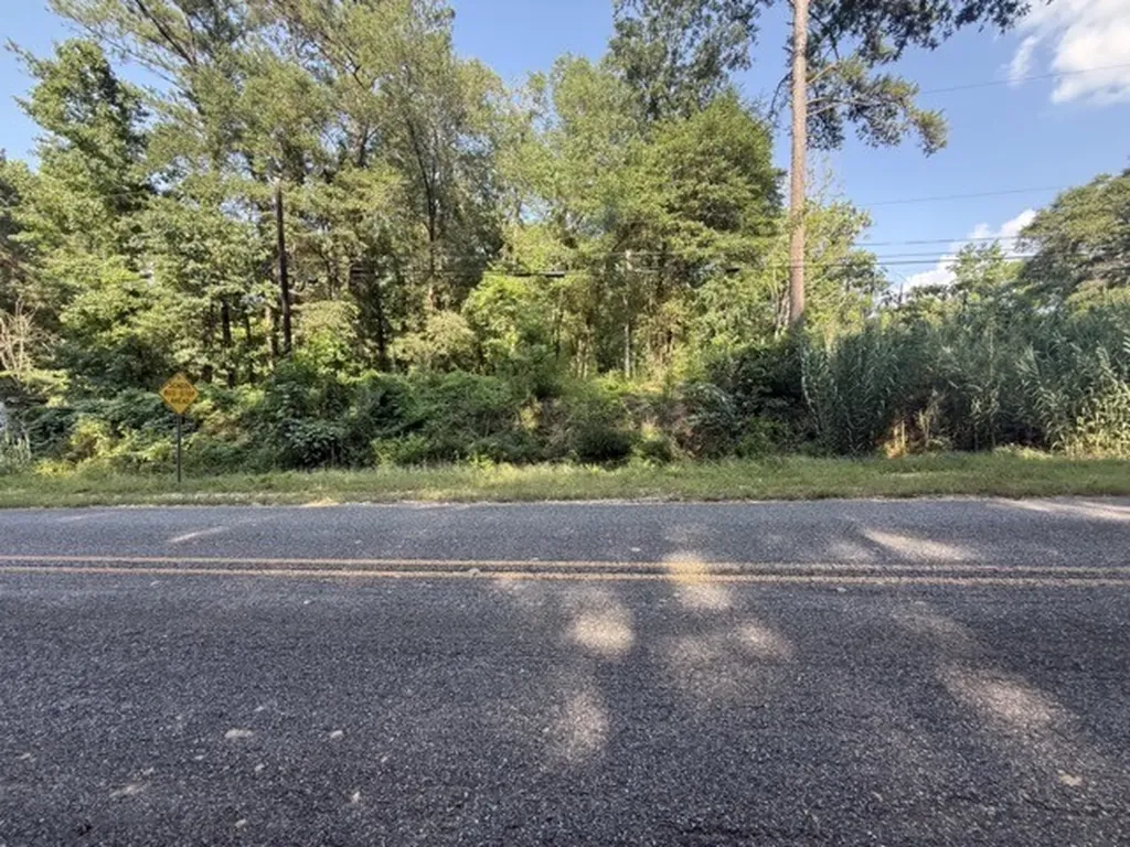 Spring Street Newton AL 36352