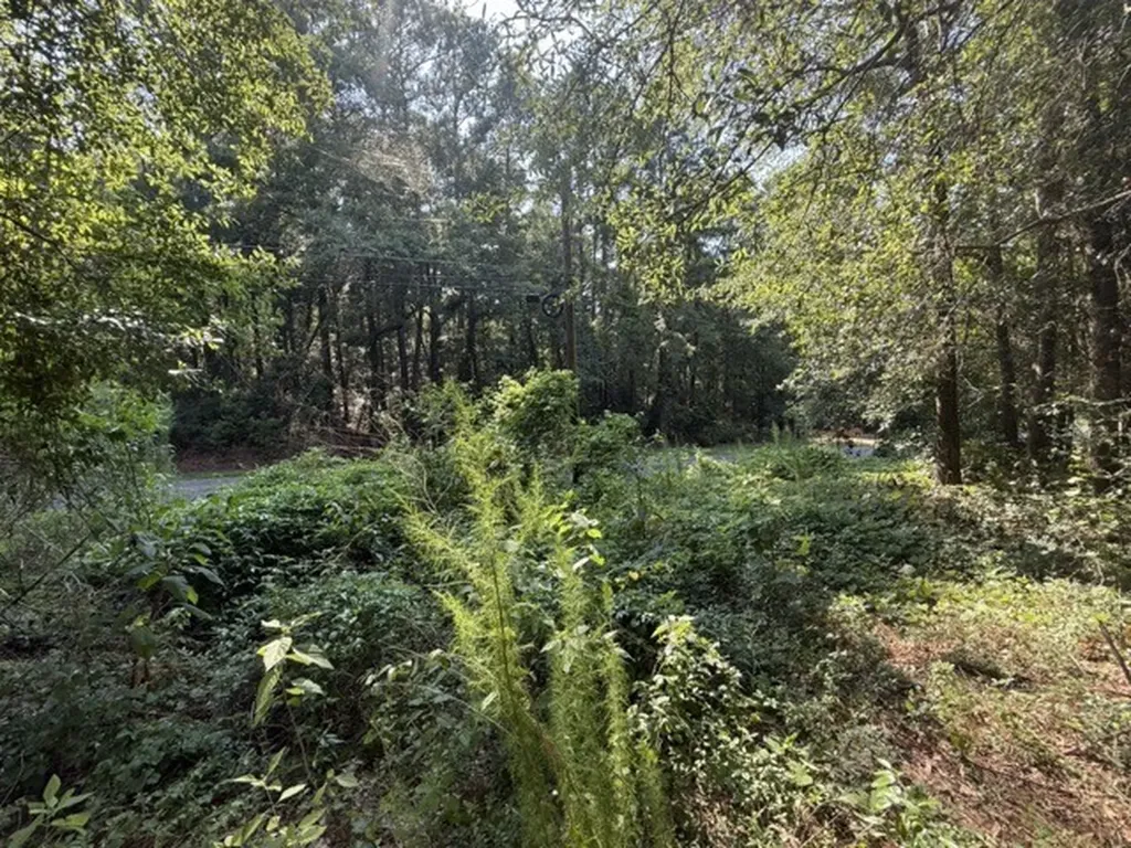 Spring Street Newton AL 36352
